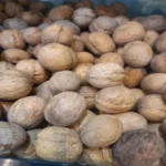 گردو پوست کاغذی(خارجی)