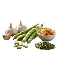 سبزی و صیفی جات